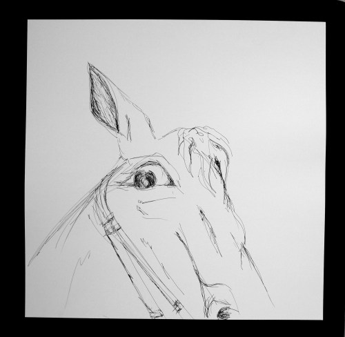 HORSE 1