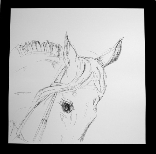 HORSE 5