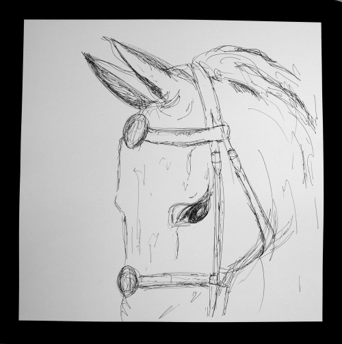 HORSE 6