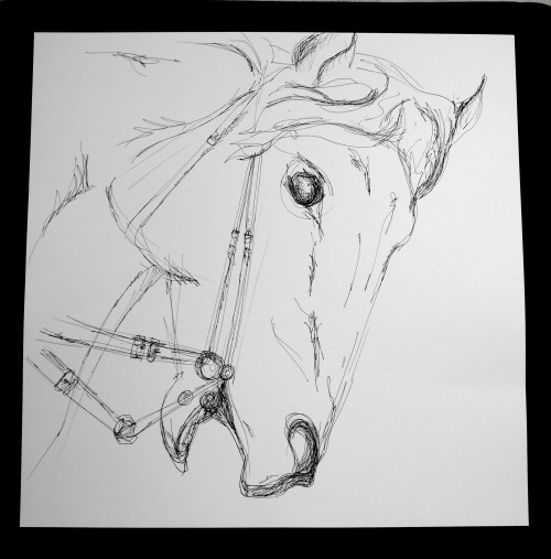 HORSE 7